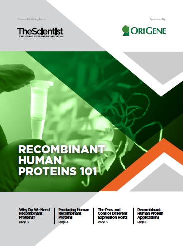 TS Origene Protein eBook